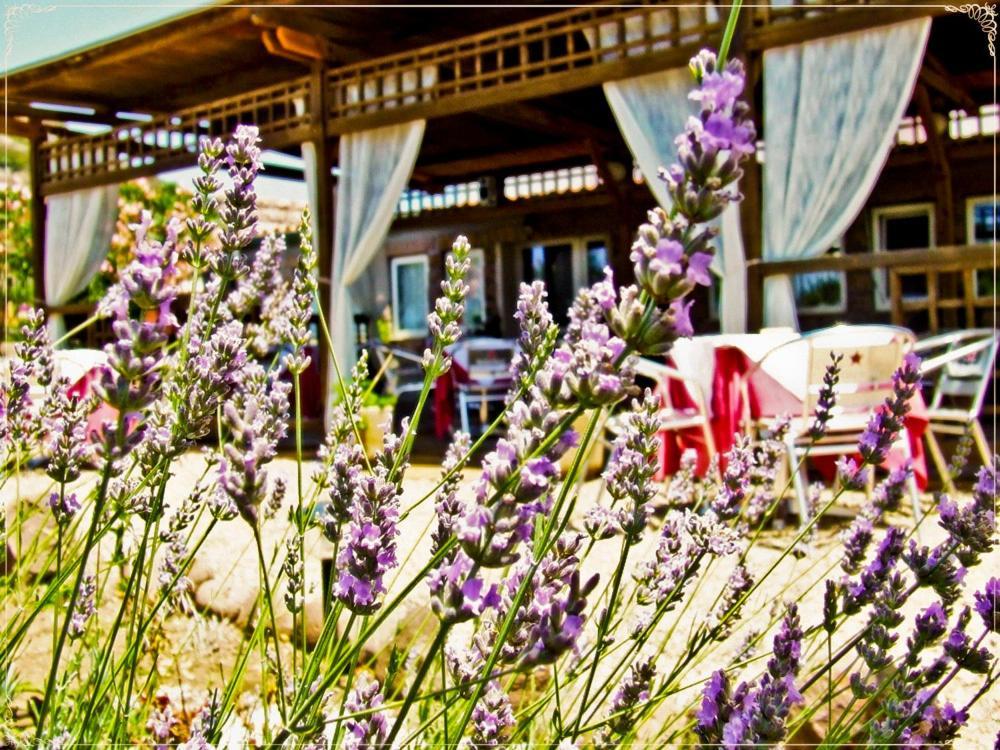 Hotel Miramare